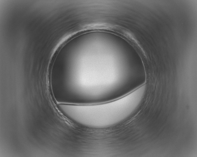 X0000056011328200508190844