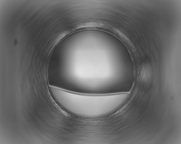 X0000056011329200508190844