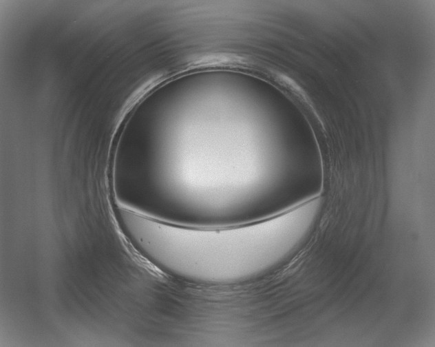 X0000056011330200508190844