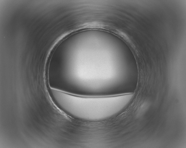 X0000056011331200508190844