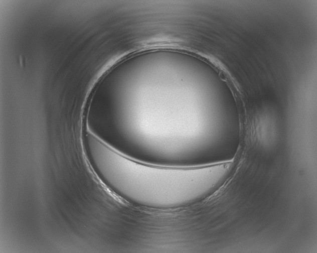 X0000056011333200508190844