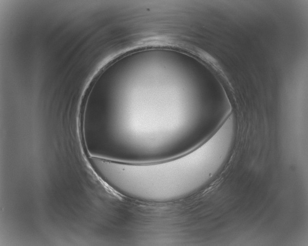 X0000056011334200508190844