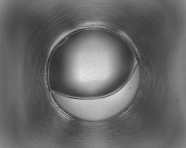 X0000056011336200508190844