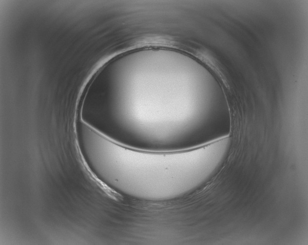 X0000056011339200508190844