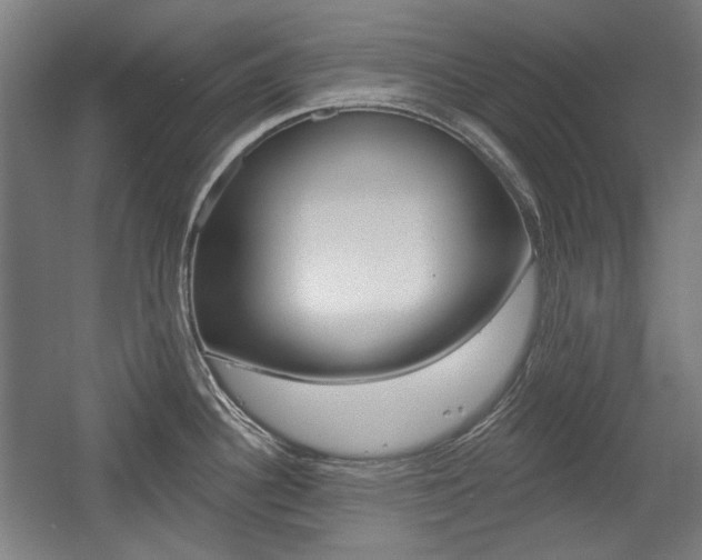 X0000056011340200508190844