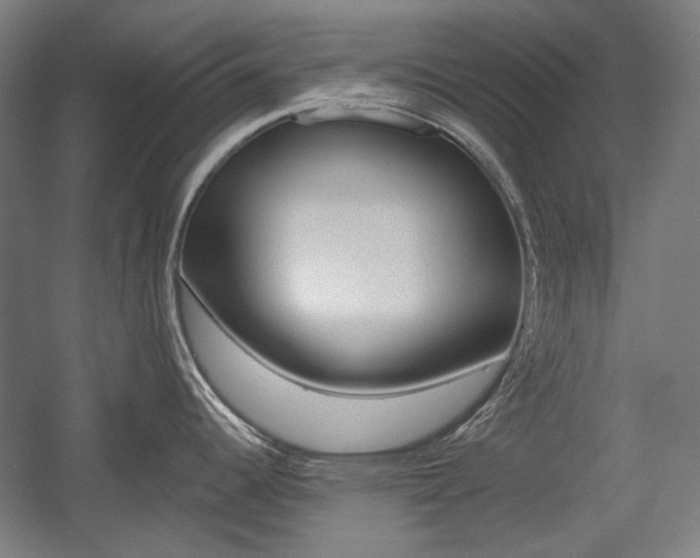 X0000056011344200508190844