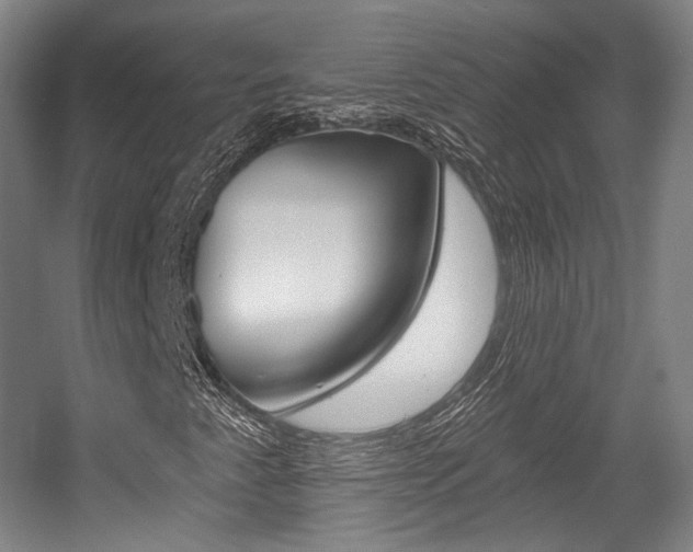 X0000056011345200508190843