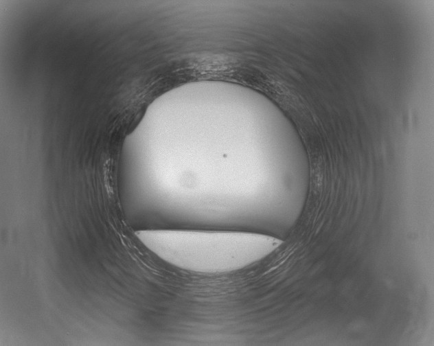 X0000056011346200508190843