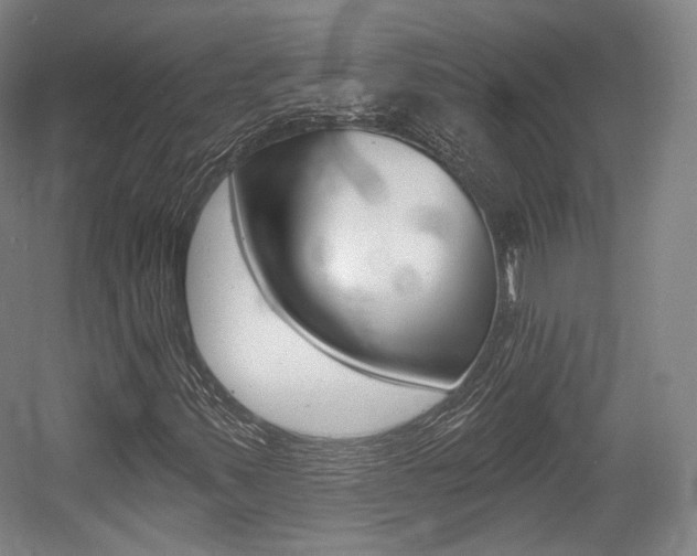 X0000056011347200508190843