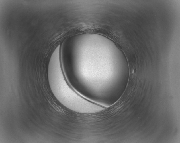 X0000056011348200508190843