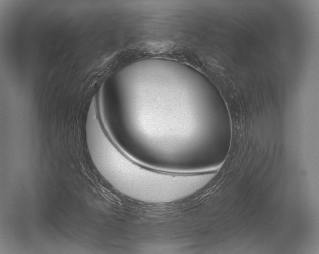X0000056011349200508190843