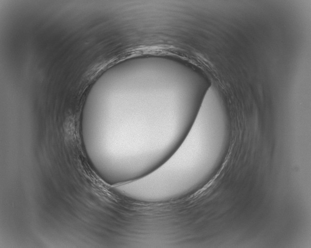 X0000056011353200508190843