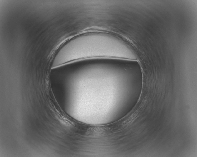 X0000056011355200508190843