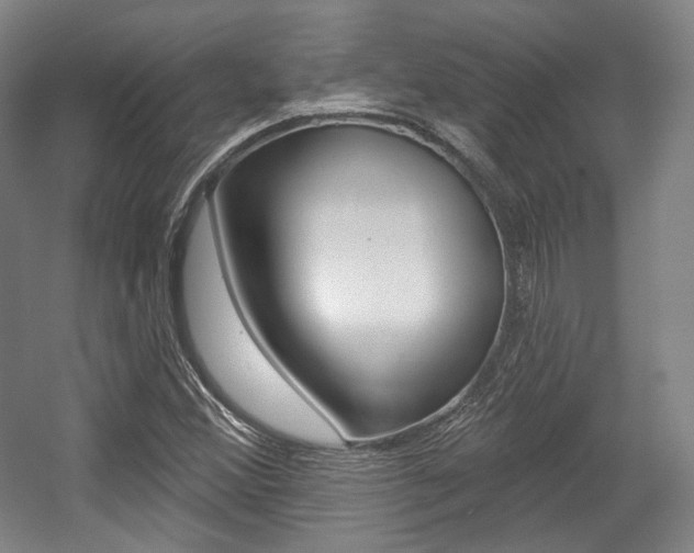 X0000056011356200508190843