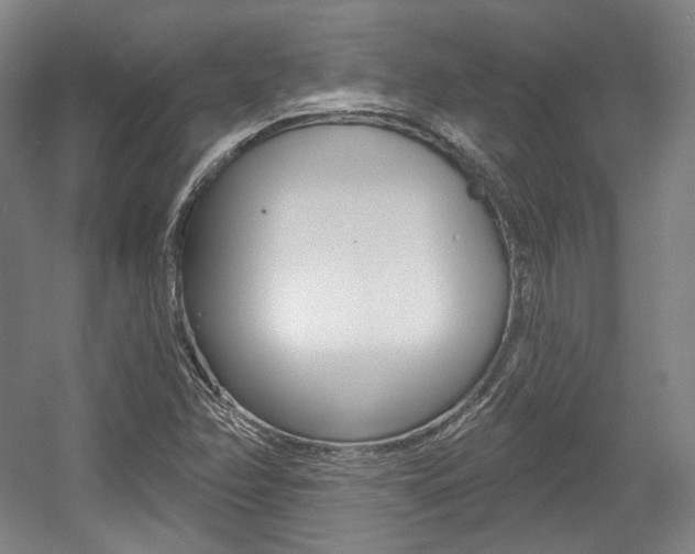 X0000056011358200508190843