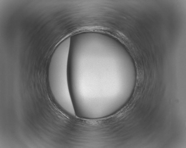 X0000056011361200508190843
