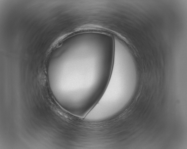 X0000056011363200508190843