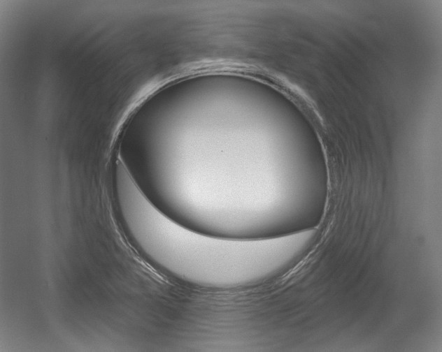 X0000056011365200508190843
