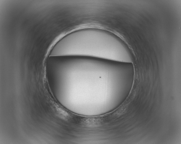 X0000056011366200508190843
