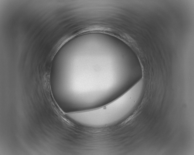 X0000056011369200508190843
