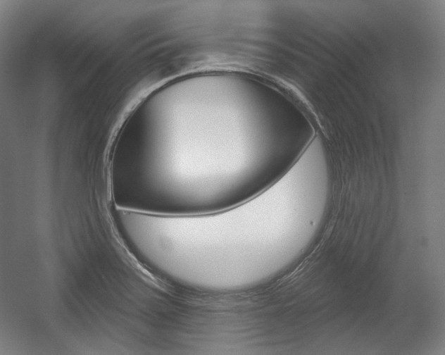 X0000056011371200508190843