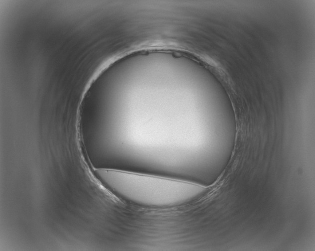 X0000056011374200508190843