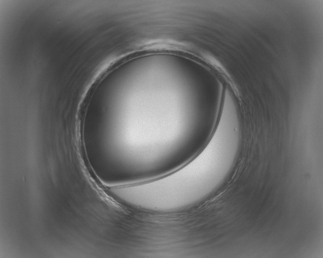 X0000056011376200508190843