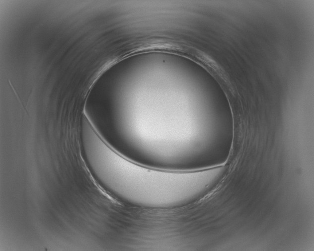 X0000056011377200508190843