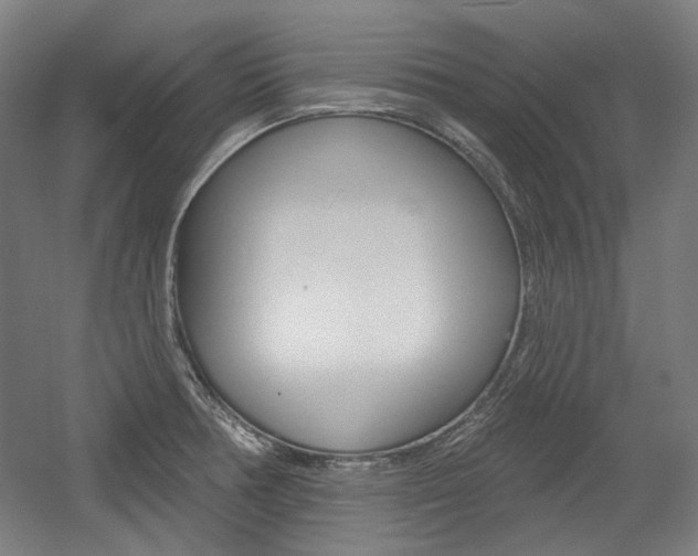X0000056011378200508190843