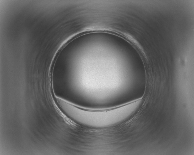 X0000056011380200508190843