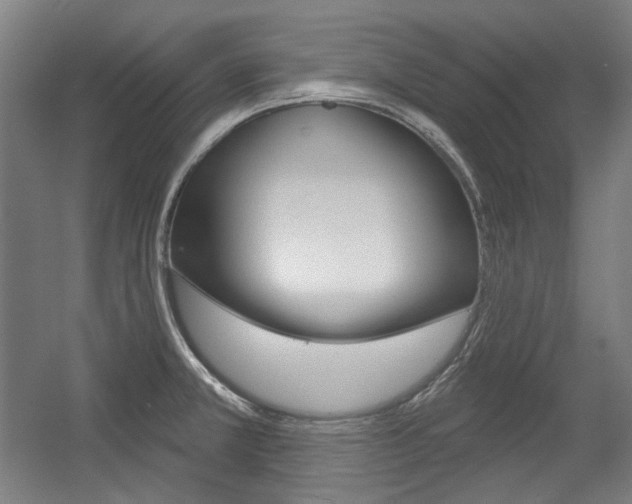 X0000056011381200508190843