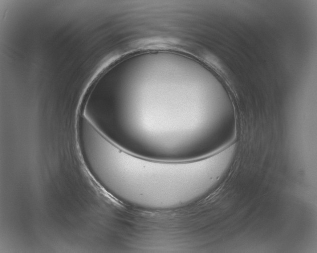 X0000056011384200508190843