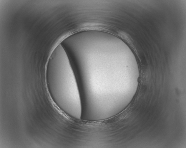 X0000056011386200508190843