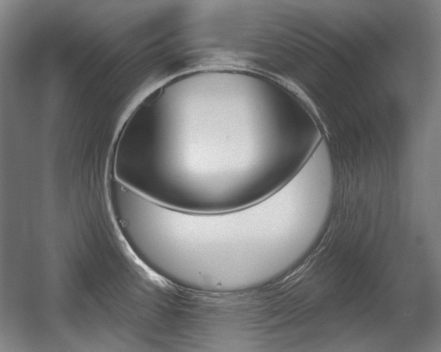 X0000056011387200508190843