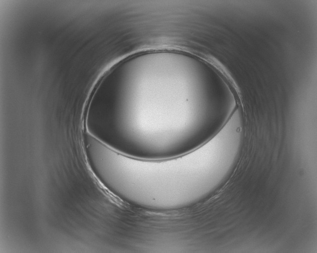 X0000056011388200508190843