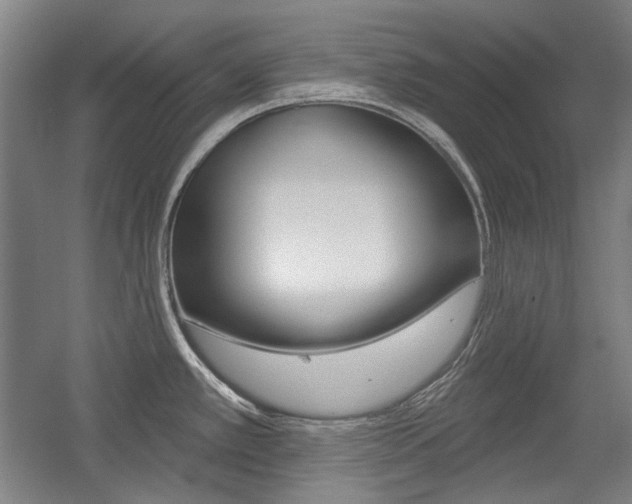 X0000056011389200508190843