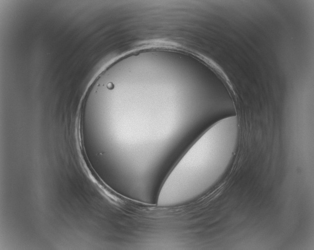 X0000056011391200508190842