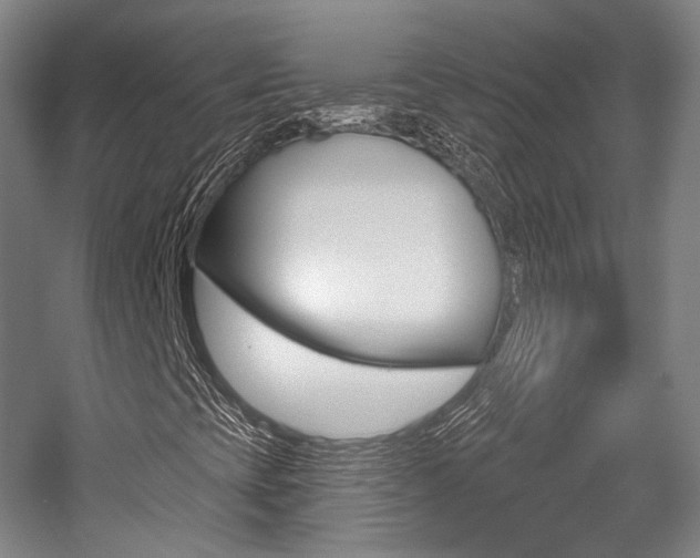 X0000056011393200508190842