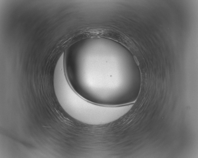 X0000056011394200508190842