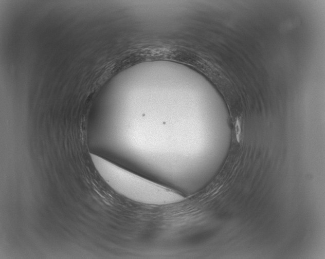 X0000056011395200508190842