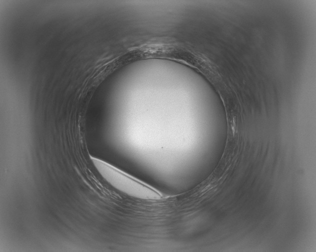 X0000056011396200508190842