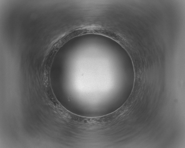 X0000056011398200508190842