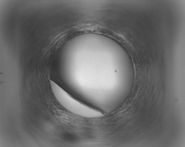 X0000056011399200508190842