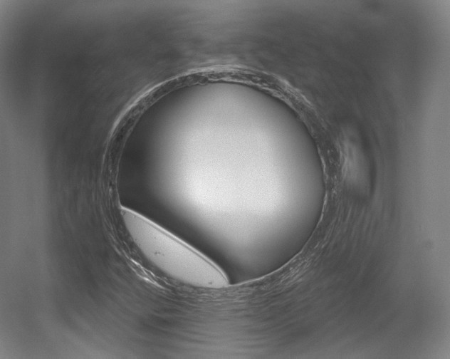 X0000056011400200508190842