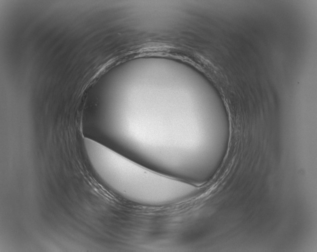 X0000056011401200508190842