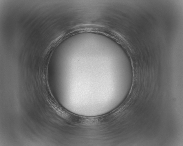 X0000056011403200508190842