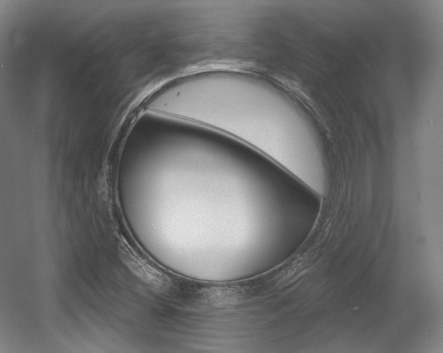 X0000056011404200508190842