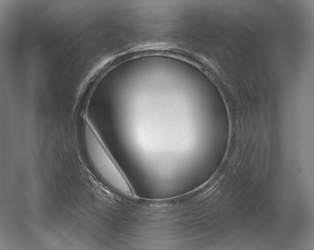 X0000056011406200508190842