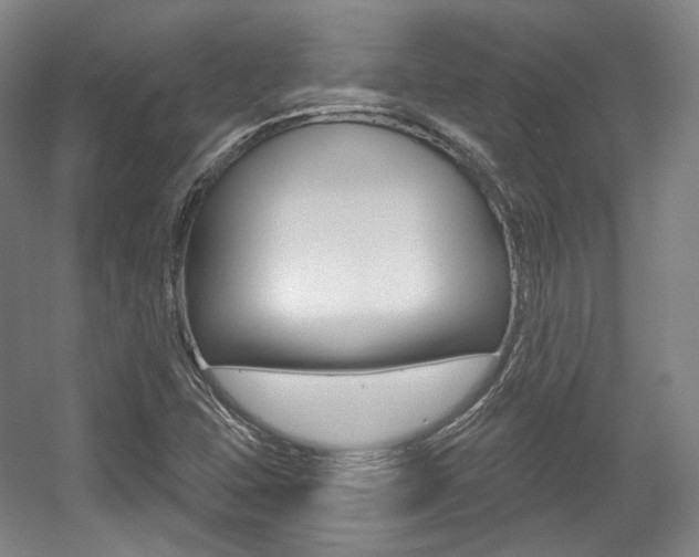 X0000056011407200508190842