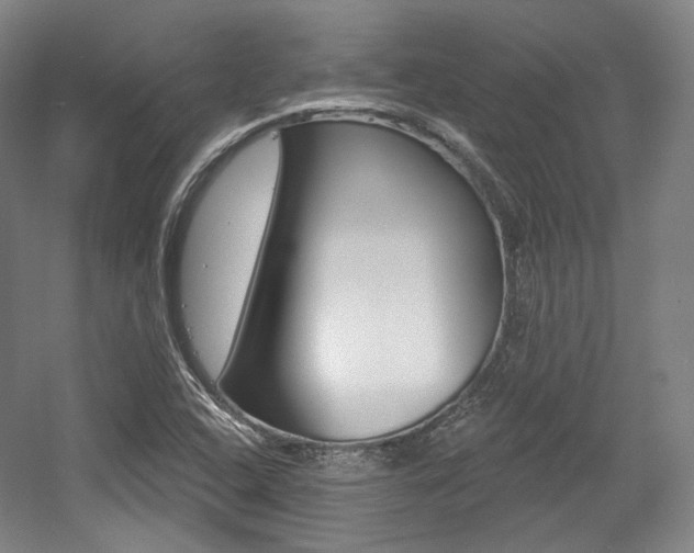 X0000056011408200508190842